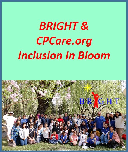 BRIGHT-Inclusion-in-Bloom6